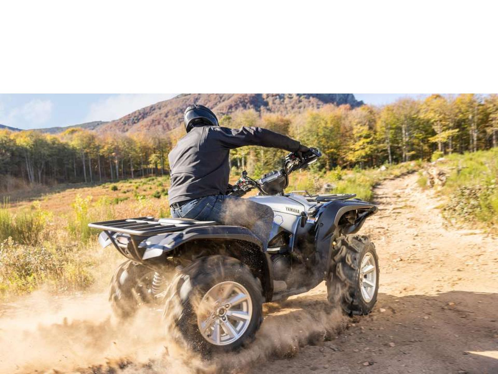 Мотовездеход ATV YAMAHA Grizzly 700 EPS SE 25 TH Anniversary (Low Gloss Black) 2024